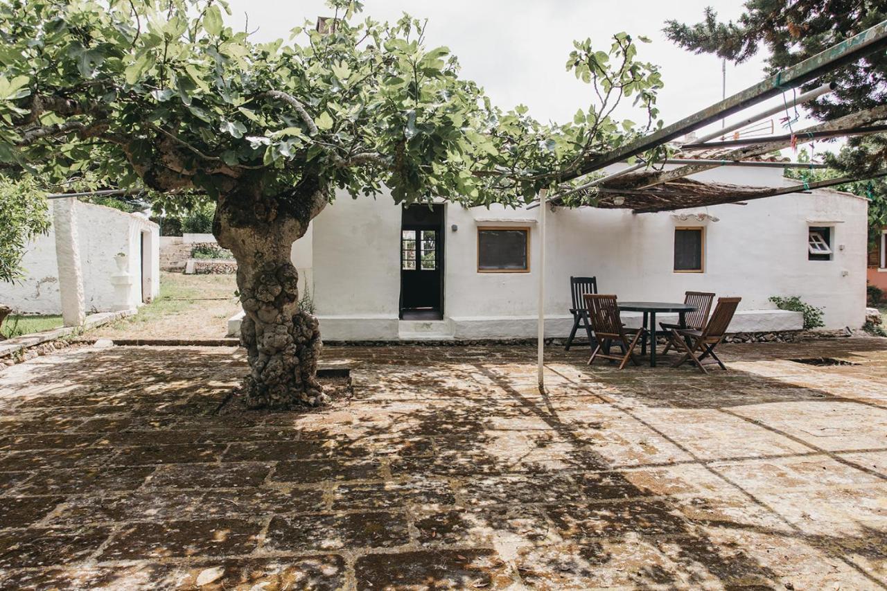 Agroturismo Son Triay Ferreries  Exterior foto